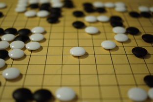 九游娱乐(jiuyou)官网-世界围棋赛青年选手战术成熟引热议，2020世界围棋
