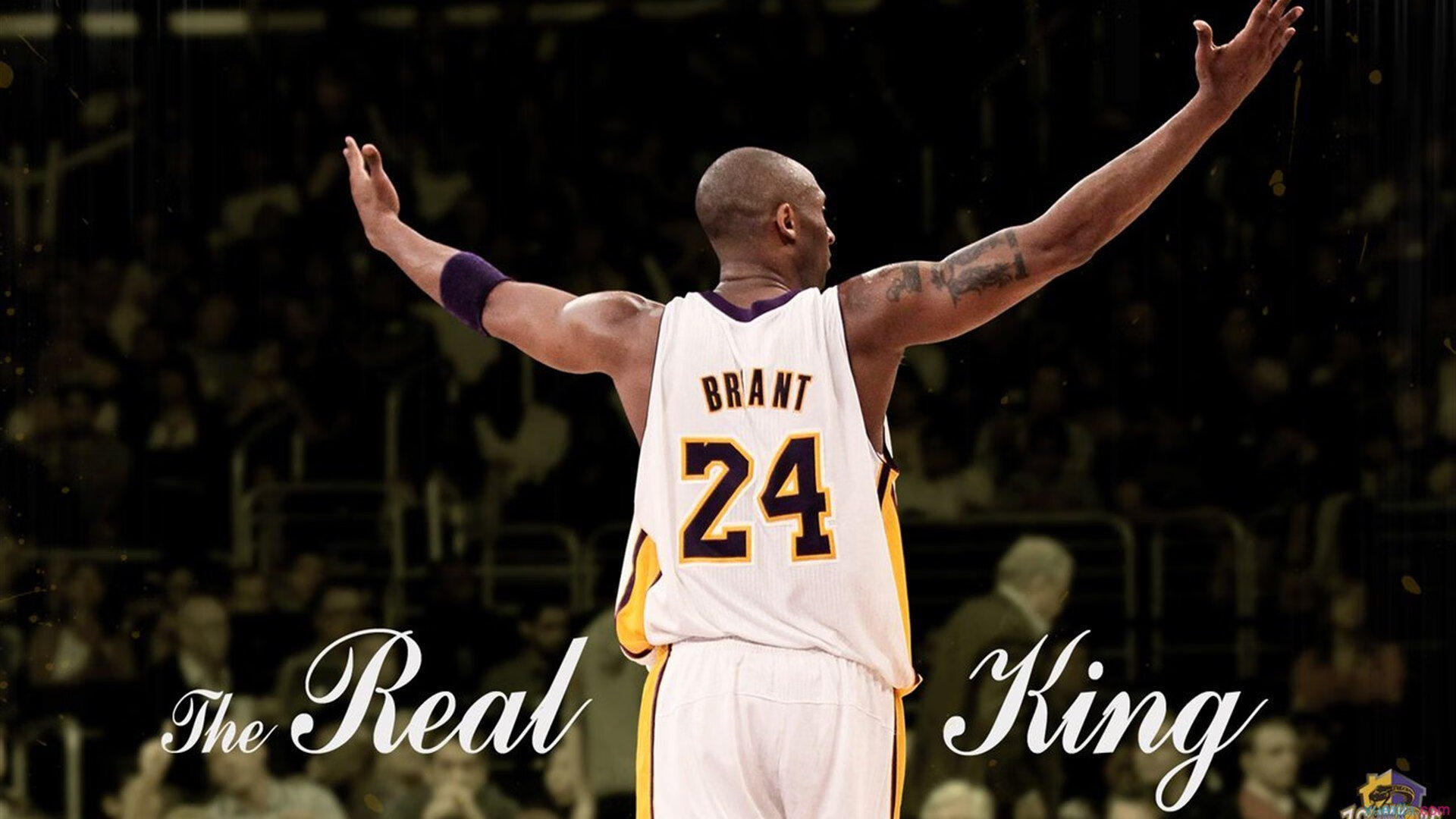 体育新闻中心服务体育教育信息传播，体育新闻知识